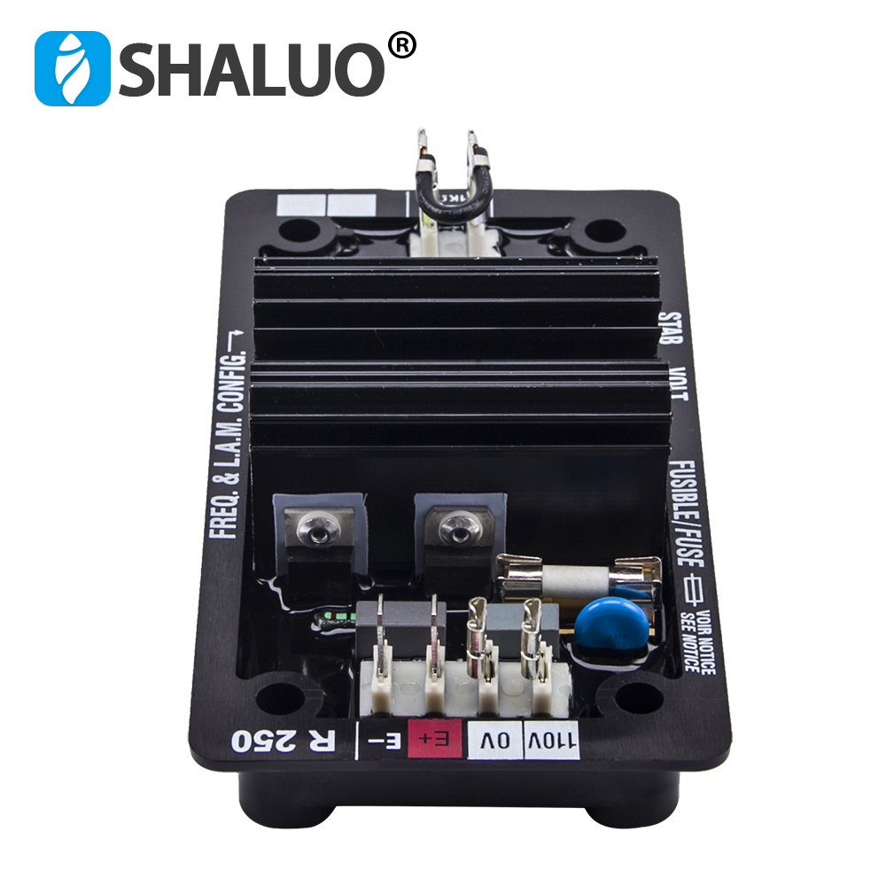 공장 공급 R250 AVR Leroy Somer 발전기 - Cycloidal Reducer Bldc Motor 리뷰 및 가격