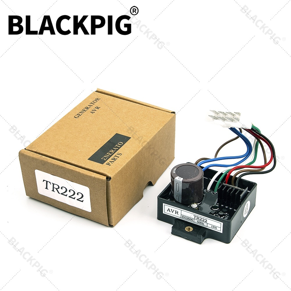 TR222 EG2500 AVR 자동 전압 조정기 안정기 - Cycloidal Reducer Bldc Motor 리뷰 및 가격